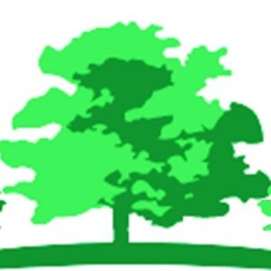 Newsletter Logo – Tree