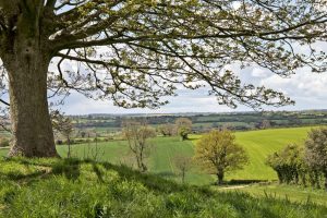 Toot Hill Beamhurst